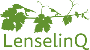 Lenselinq logo geen pay-off